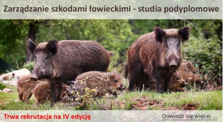 Zarządzanie szkodami łowieckimi - studia podyplomowe we Wszechnicy Polskiej