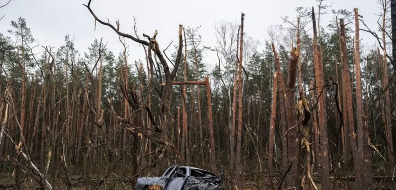 Fot. Zniszczony wskutek walk las pod Czernichowem, 22 kwietnia 2022 r. (Fot. Petros Giannakouris / AP Photo)