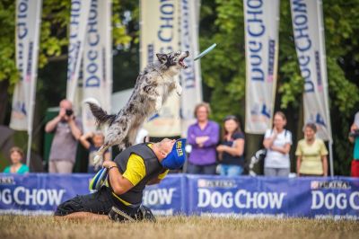 Dog Chow Disc Cup -Zdjęcie